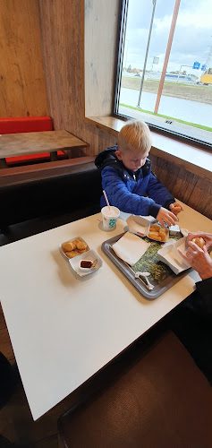 Honderdland 1022, 2676 LV Maasdijk