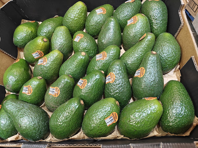 Superbowls - Rotterdam