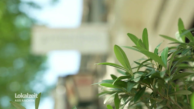 Reviews of Grenzeloos in Maastricht - Horeca