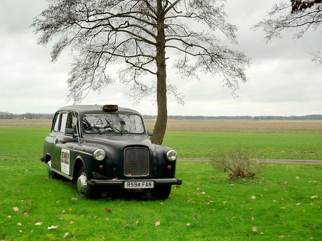 Lucy's Inn Open Times