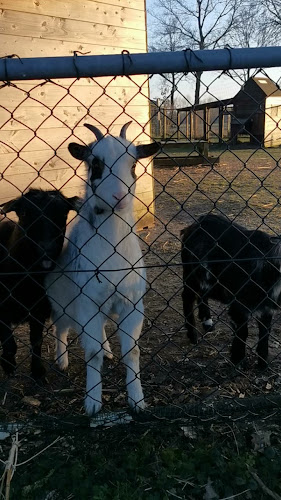 't Grachthuys Bredevoort - Bredevoort