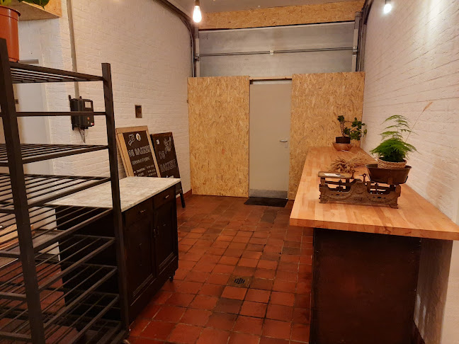 Comments and reviews of De Bakkert