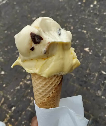 Pronto Gelato - Horeca