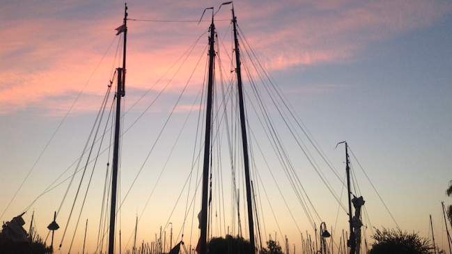 Opinii despre Los Del Puerto în Monnickendam - Horeca