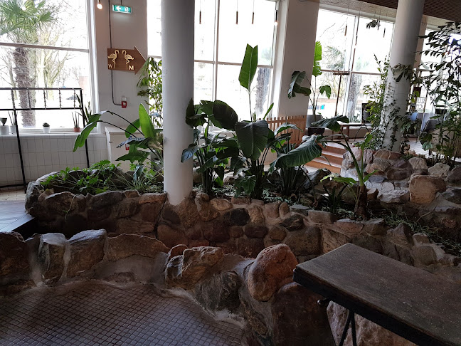 Opinii despre ALOHA - low waste foodbar în Rotterdam - Horeca