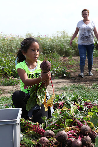Groot Cromstrijensedijk 17A, 3291 LD Strijen