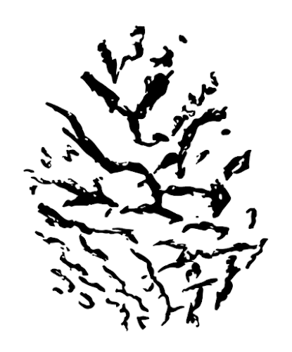 Kegel Spirits - Horeca