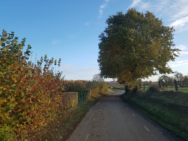 Opinii despre Stroopmakerij Vandewall în Eckelrade - Horeca