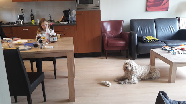 Dijkweg 265, 1619 JE Andijk