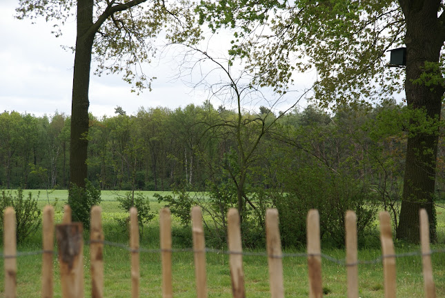 Pluk en theetuin in de 7e Hemel - Horeca