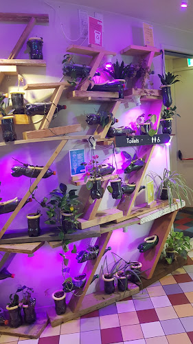 The Cube by Stayokay - Horeca