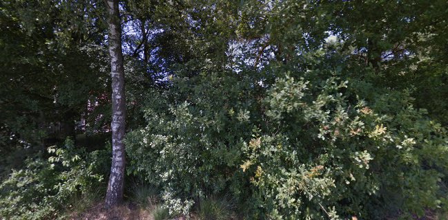 Restaurant "Hooge Graven"