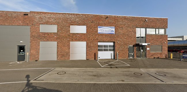 Comentarii opinii despre Globemilk B.V.