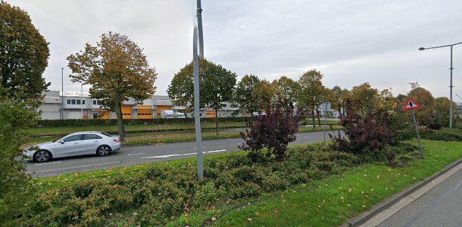 Brasserie van het leven