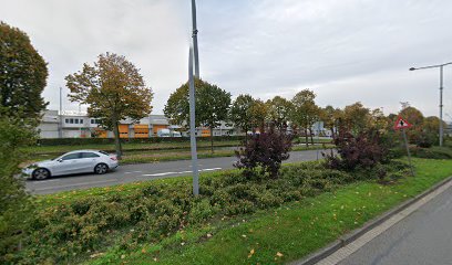 Brasserie van het leven