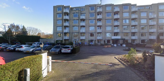 Comentarii opinii despre Aceituna B.V.