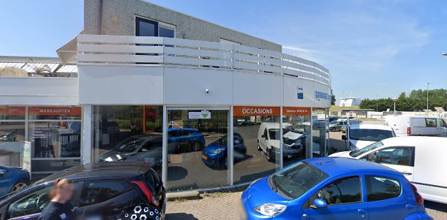 Schellenboom de haak