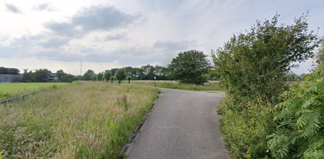 De IJstuin Dronryp - IJssalon / Theetuin