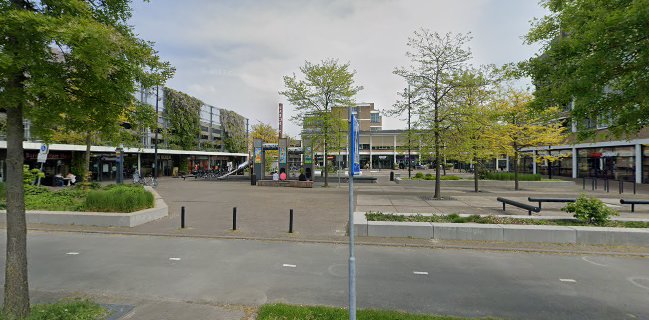 Comentarii opinii despre Bakker Breggen, Baronie