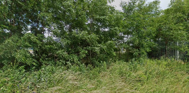 De Gouden Harp Verhuur