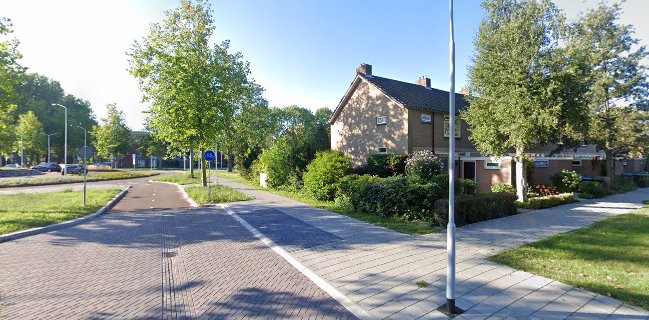 Poolse ijsbeer verzameling