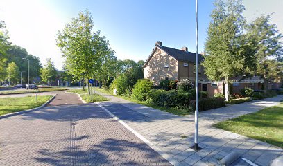 Poolse ijsbeer verzameling