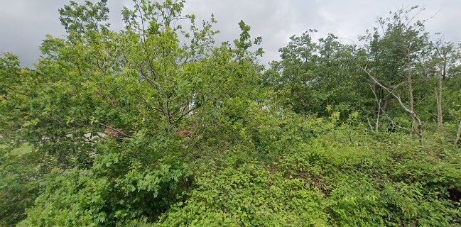 De Bessenschuur - West-Terschelling