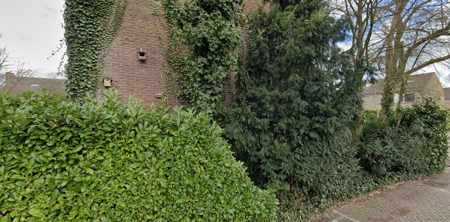 Tisgroen, theesommelier, vegetarische kok, theeproeverijen workshops thee en tisanes (kruidenthee)