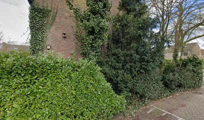 Tisgroen, theesommelier, vegetarische kok, theeproeverijen workshops thee en tisanes (kruidenthee)