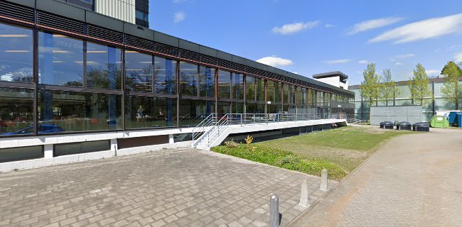 Borrelkelder Beneden Peil - Horeca