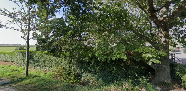 IJsboerderij en Minicamping De Koehoorn
