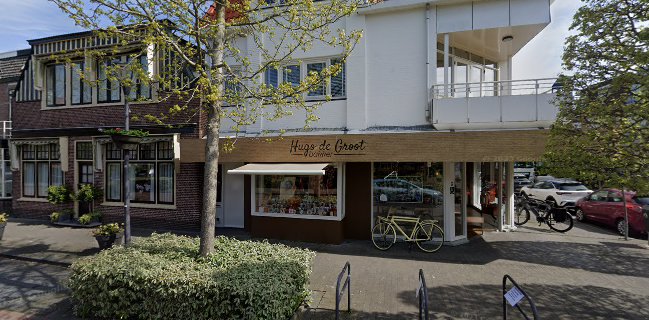 Comentarii opinii despre Hugo de Groot