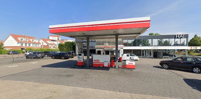 Rijnsburg Zaadhandel B.V.