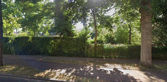 Comentarii opinii despre de Witte Os, cave anno 1768