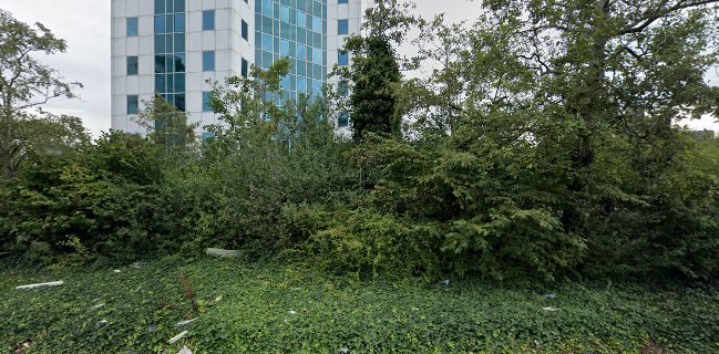 Rhumveld Winter & Konijn B.V.