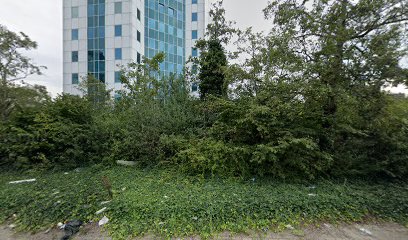 Rhumveld Winter & Konijn B.V.