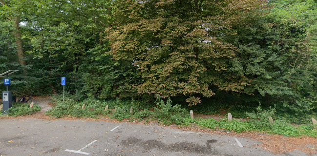 Theehuis de Haarlemmerhout - Haarlem