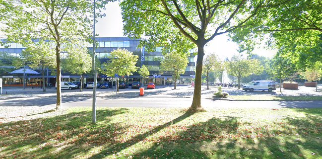 Restaurant Dubrovnik Open Times